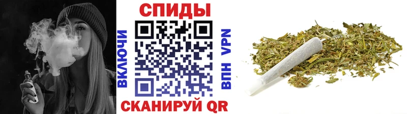 закладки  Гагарин  мориарти официальный сайт  БУТИРАТ оксана 