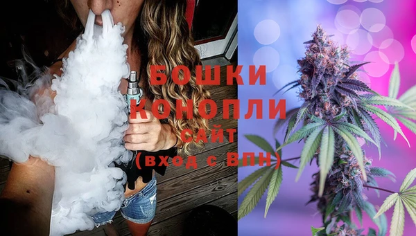 ГАЛЛЮЦИНОГЕННЫЕ ГРИБЫ Баксан