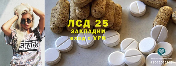 ГАЛЛЮЦИНОГЕННЫЕ ГРИБЫ Баксан